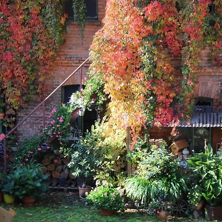 Grosse Komfortable In Dessau-Rosslau