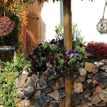 Grosse Komfortable In * Dessau-Rosslau