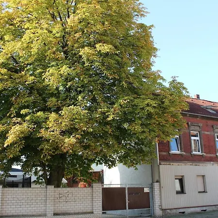 Grosse Komfortable In * Dessau-Rosslau