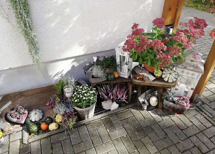 Grosse Komfortable In